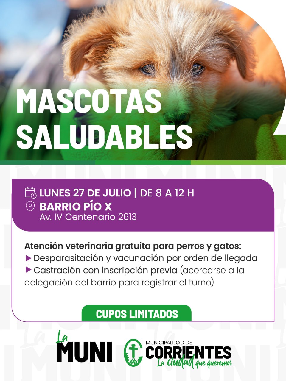La Muni en tu Barrio retoma su recorrido en el barrio Cremonte con servicios gratuitos.
