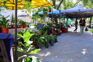 Productos frescos, artesanías y gastronomía: nueva semana de ferias en Corrientes.