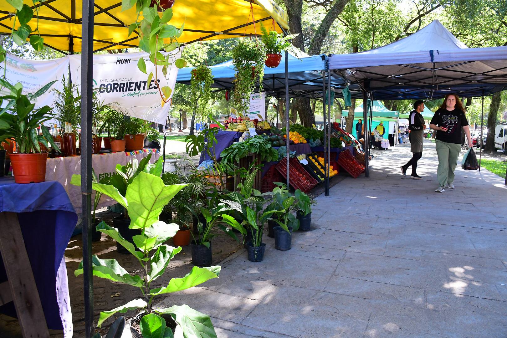 Productos frescos, artesanías y gastronomía: nueva semana de ferias en Corrientes.